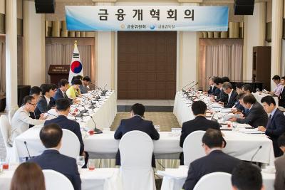 제7차 금융개혁회의 개최3