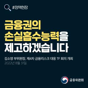 금융권의 손실흡수능력을 제고하겠습니다. 김소영 부위원장, 제4차 금융리스크 대응 TF 회의 개최. 2022년 8월 31일